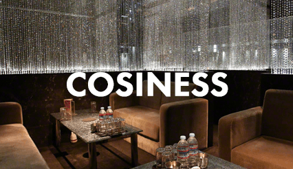 COSINESS